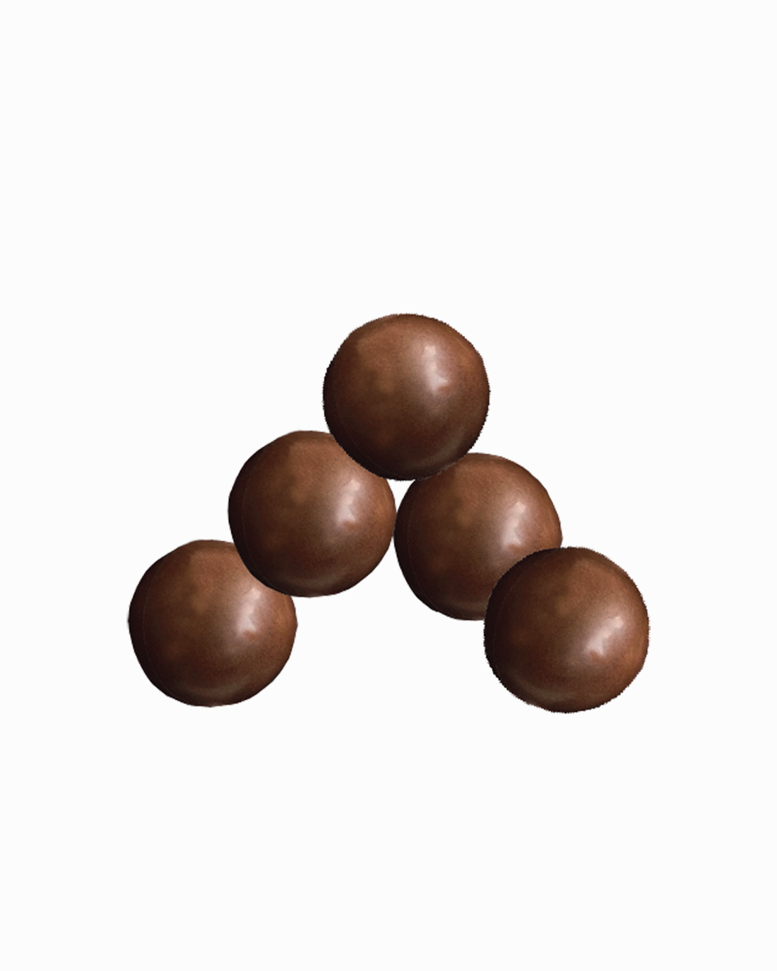 Premium Hazelnut Pralines 5 Pieces Per Box