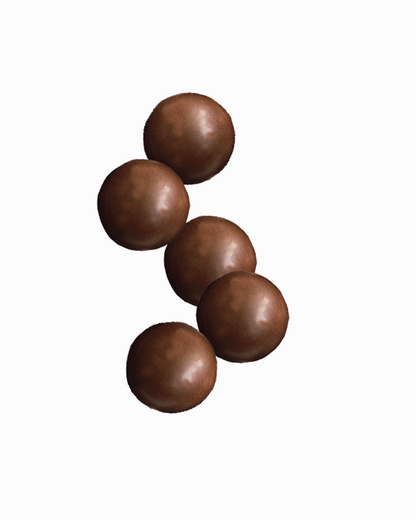 Premium Hazelnut Pralines 5 Pieces Per Box