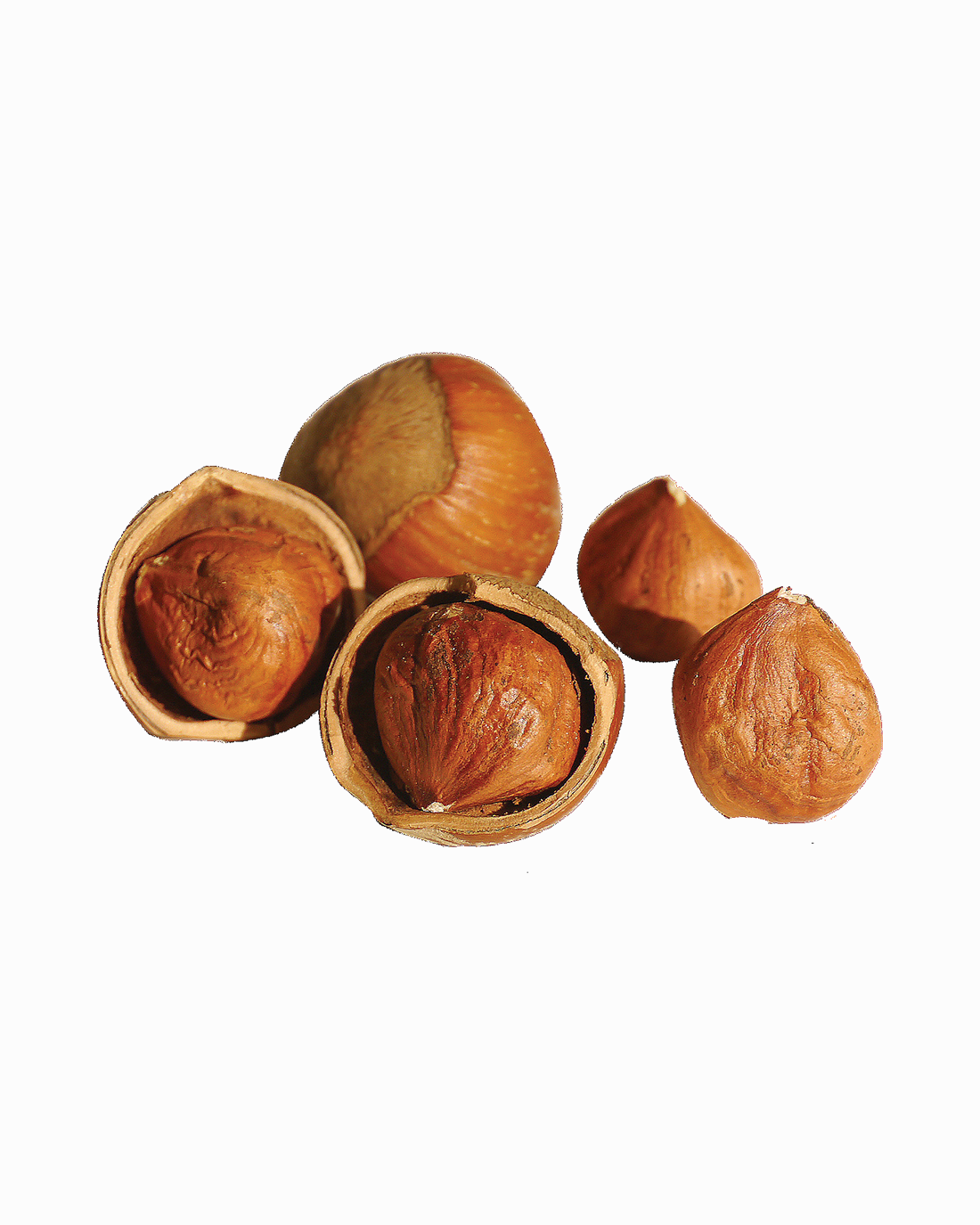 Premium Hazelnut Pralines – 5 Chocolates Per Gift Box